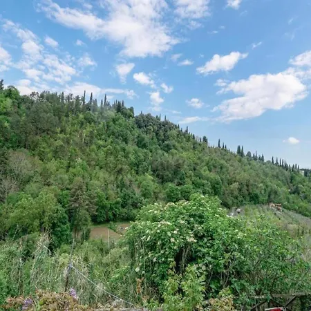 Traditional In Toscana With Swimming Pool San Lorenzo a Merse