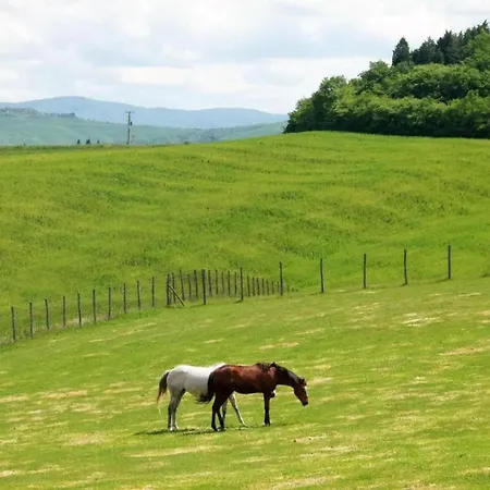 Traditional In Toscana With Swimming Pool San Lorenzo a Merse